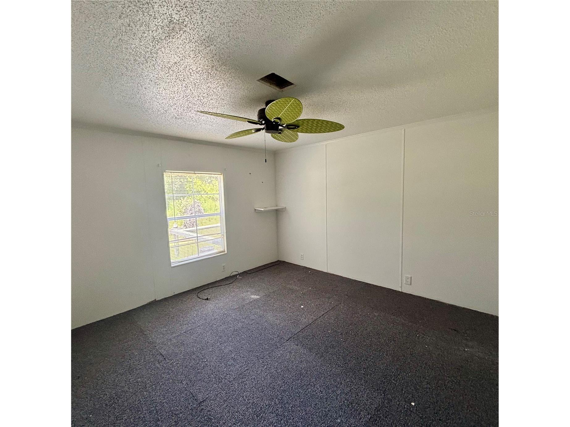  Webster FL 33597 TB8525170 image33