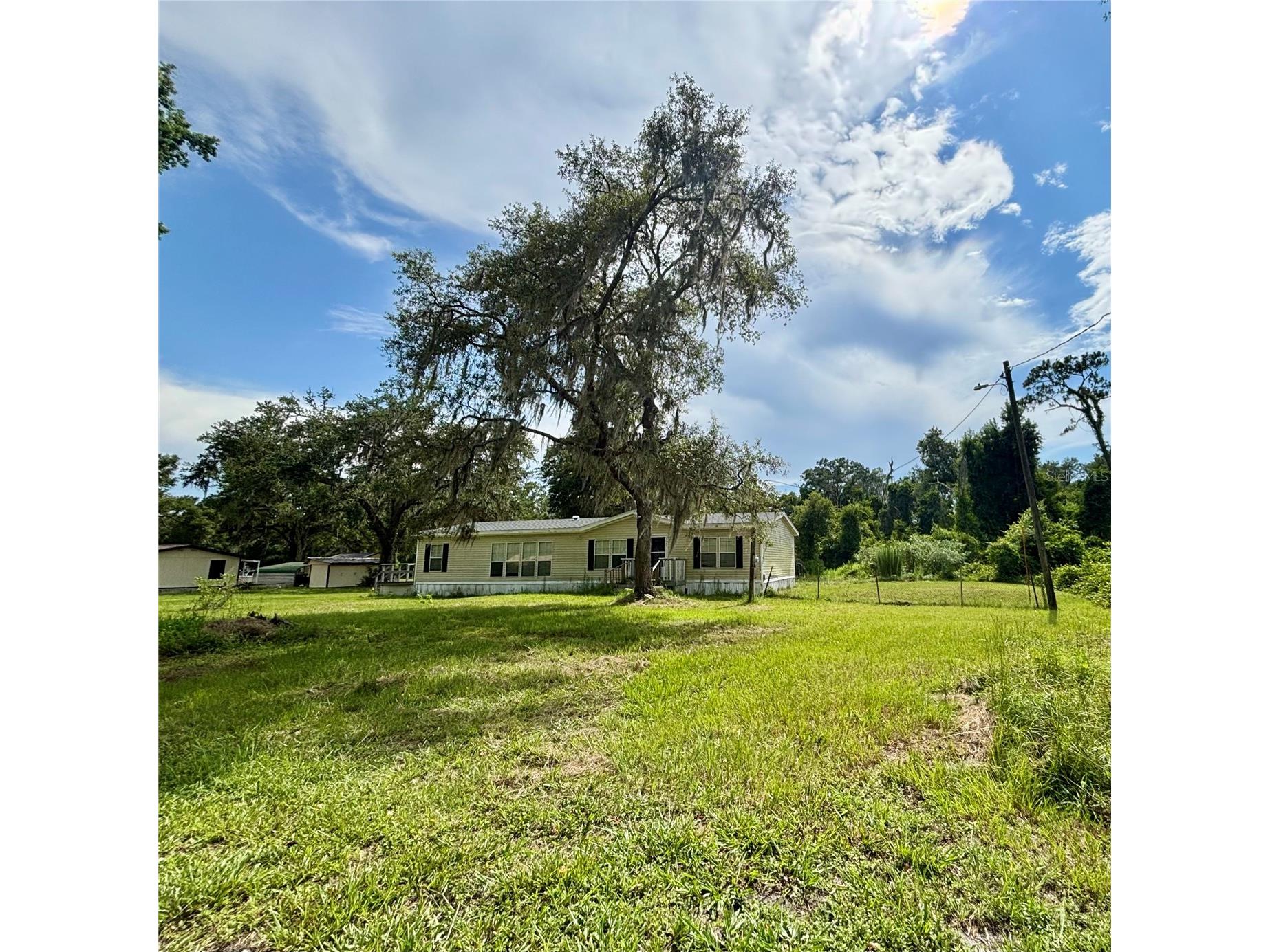  Webster FL 33597 TB8525170 image4