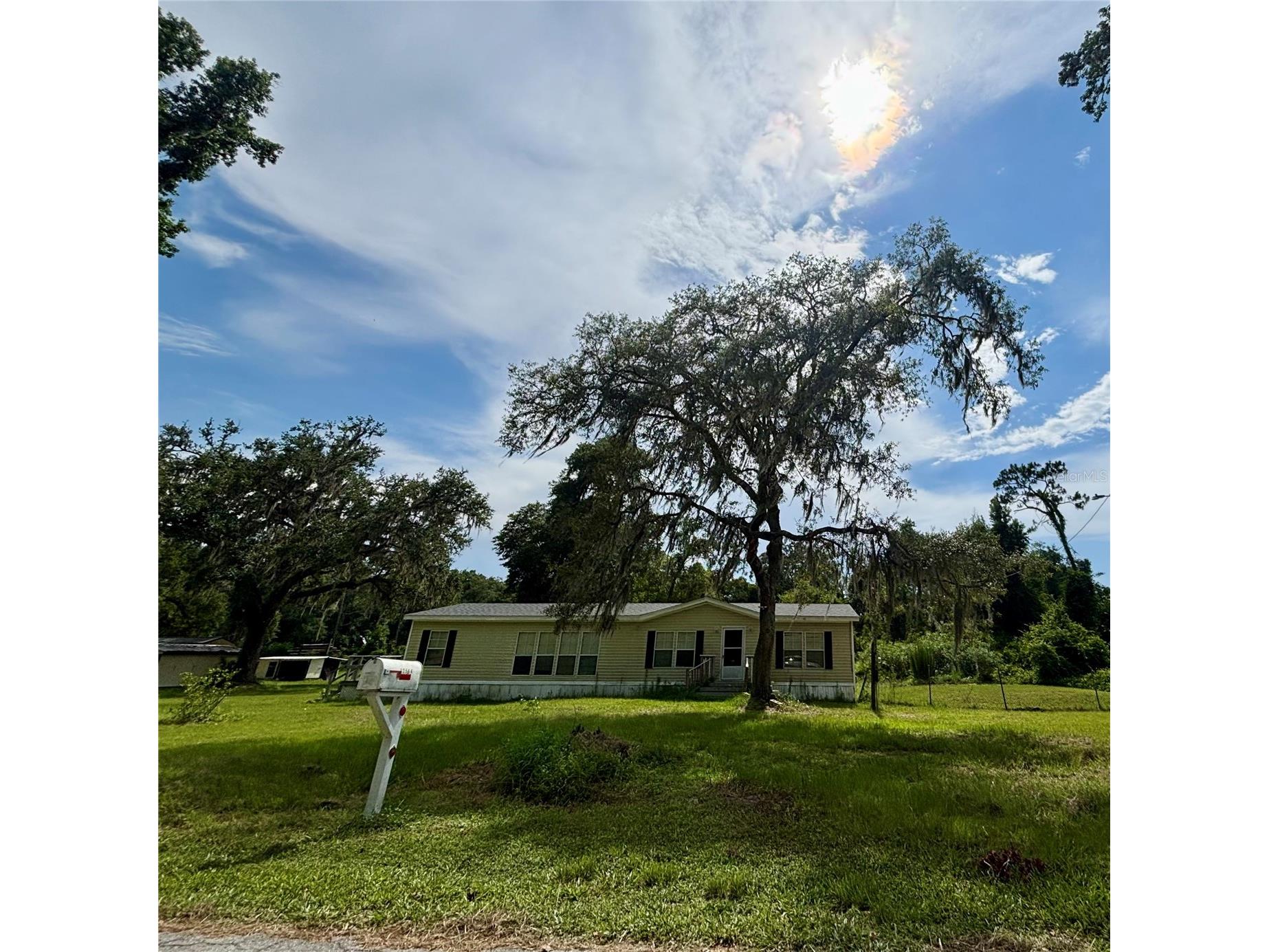  Webster FL 33597 TB8525170 image5