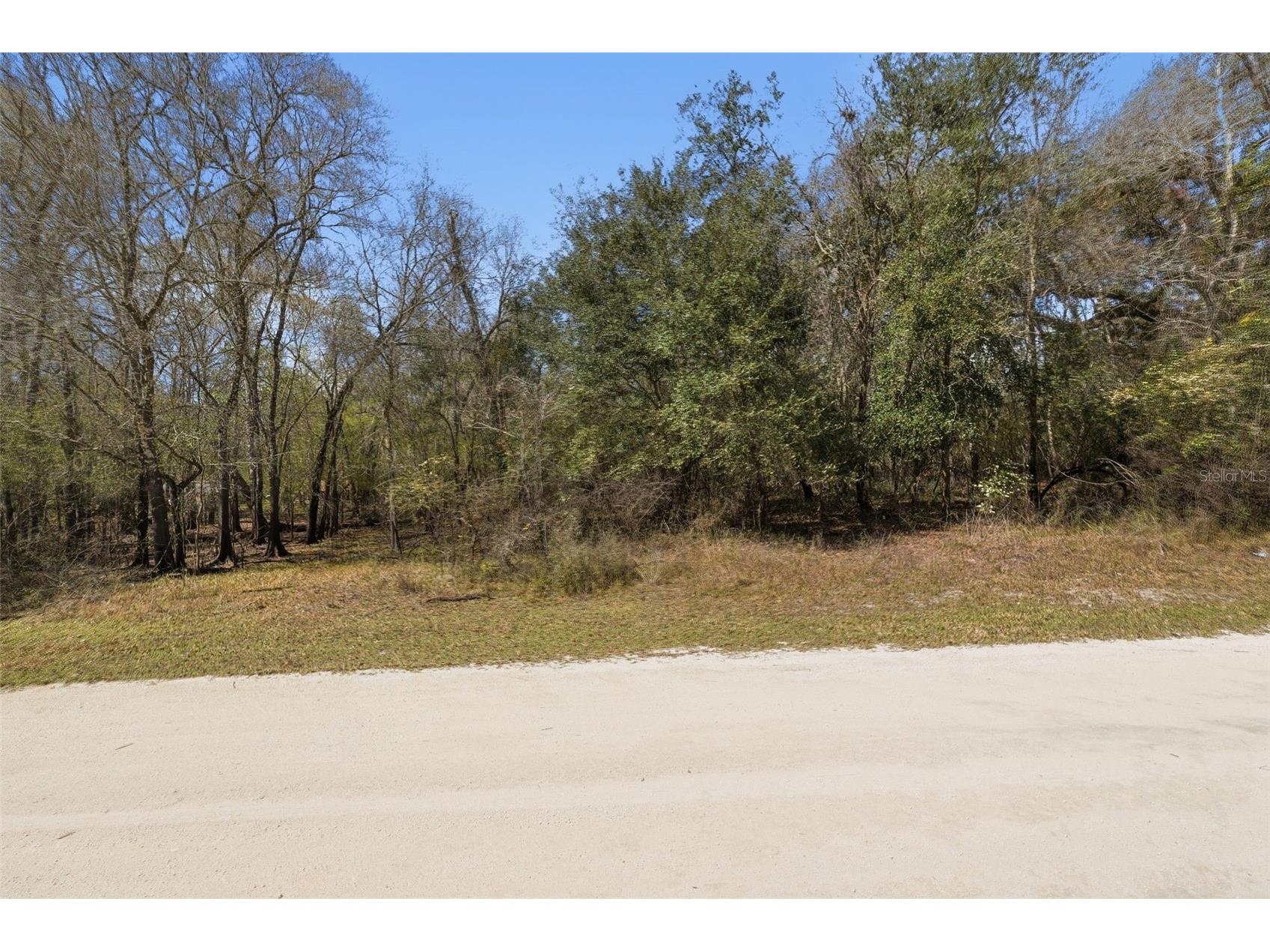  Webster FL 33597 W7883666 image1