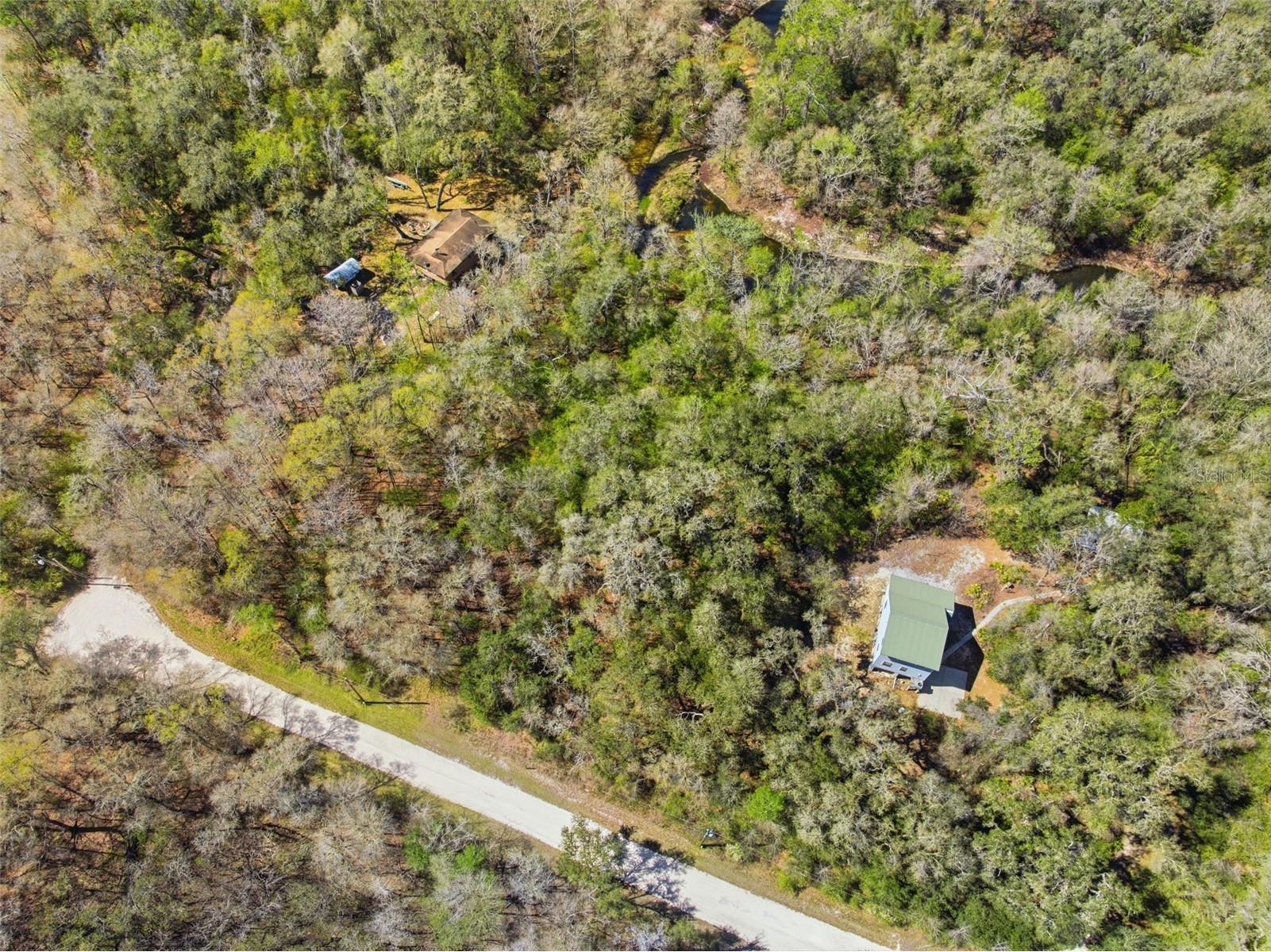  Webster FL 33597 W7883666 image10