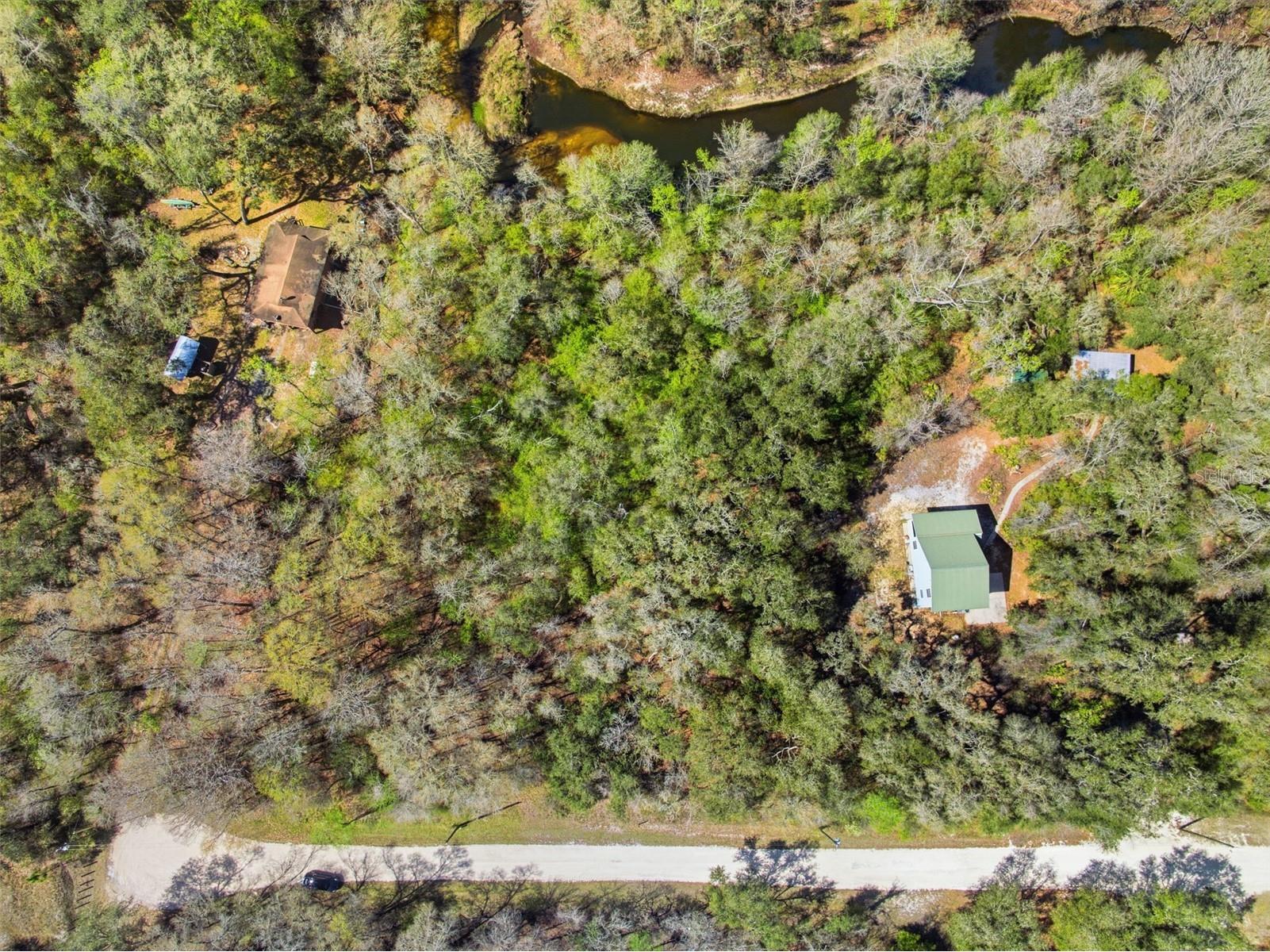  Webster FL 33597 W7883666 image11