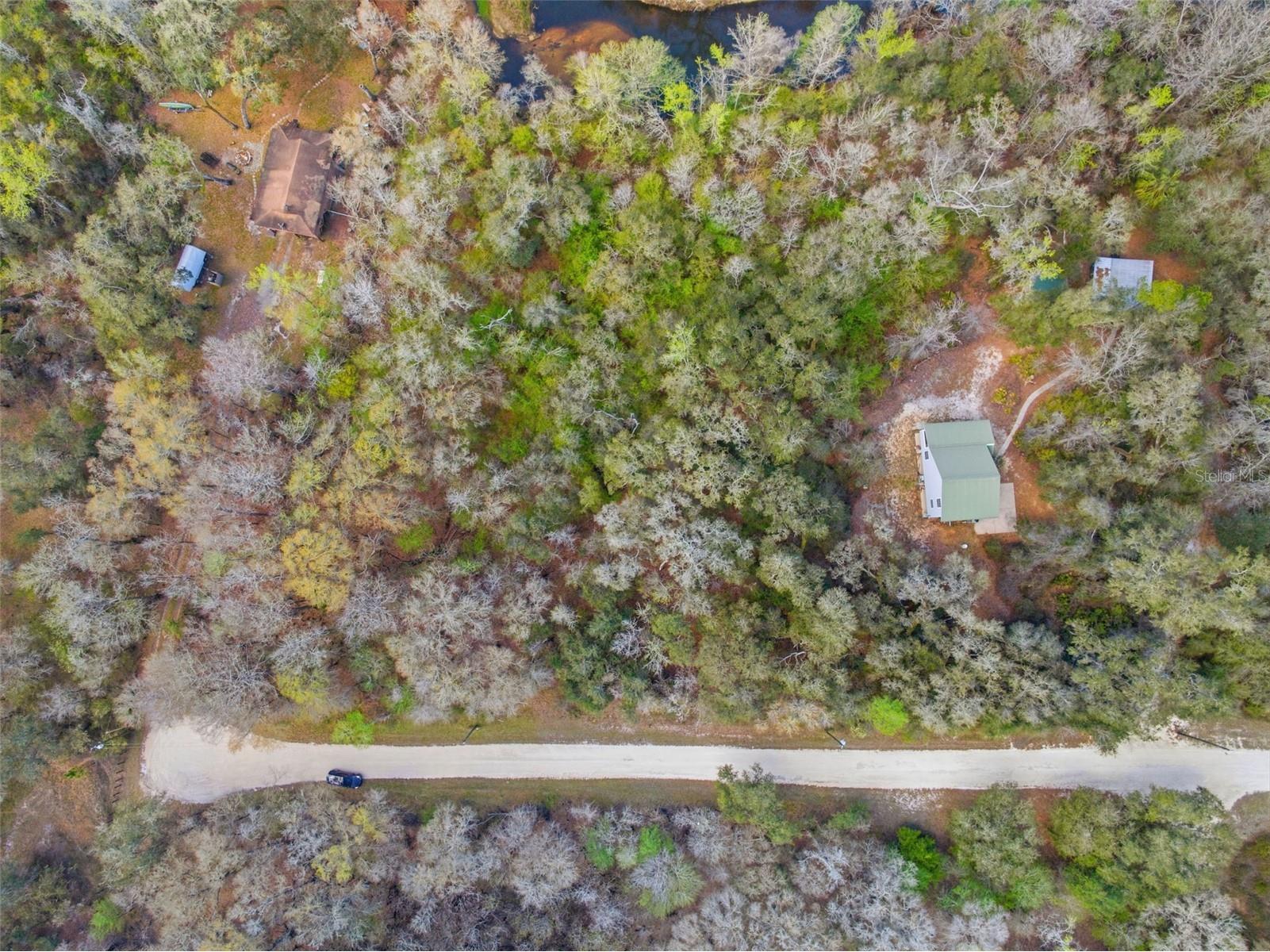  Webster FL 33597 W7883666 image12