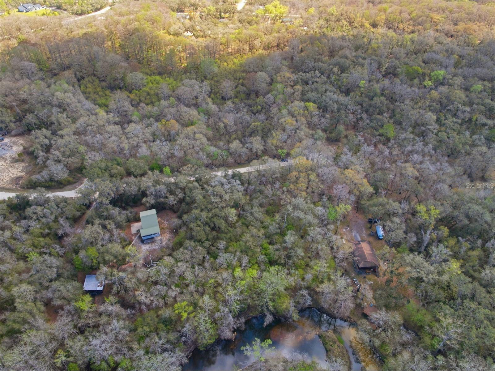  Webster FL 33597 W7883666 image13