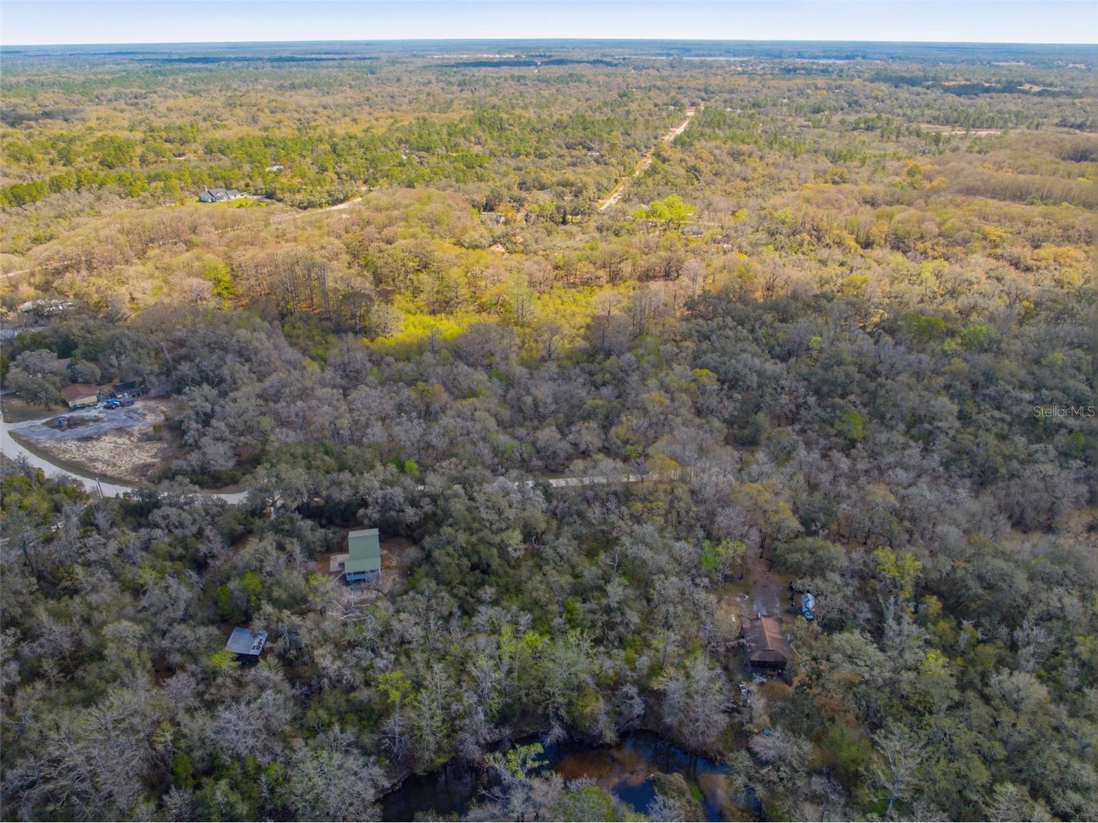  Webster FL 33597 W7883666 image14