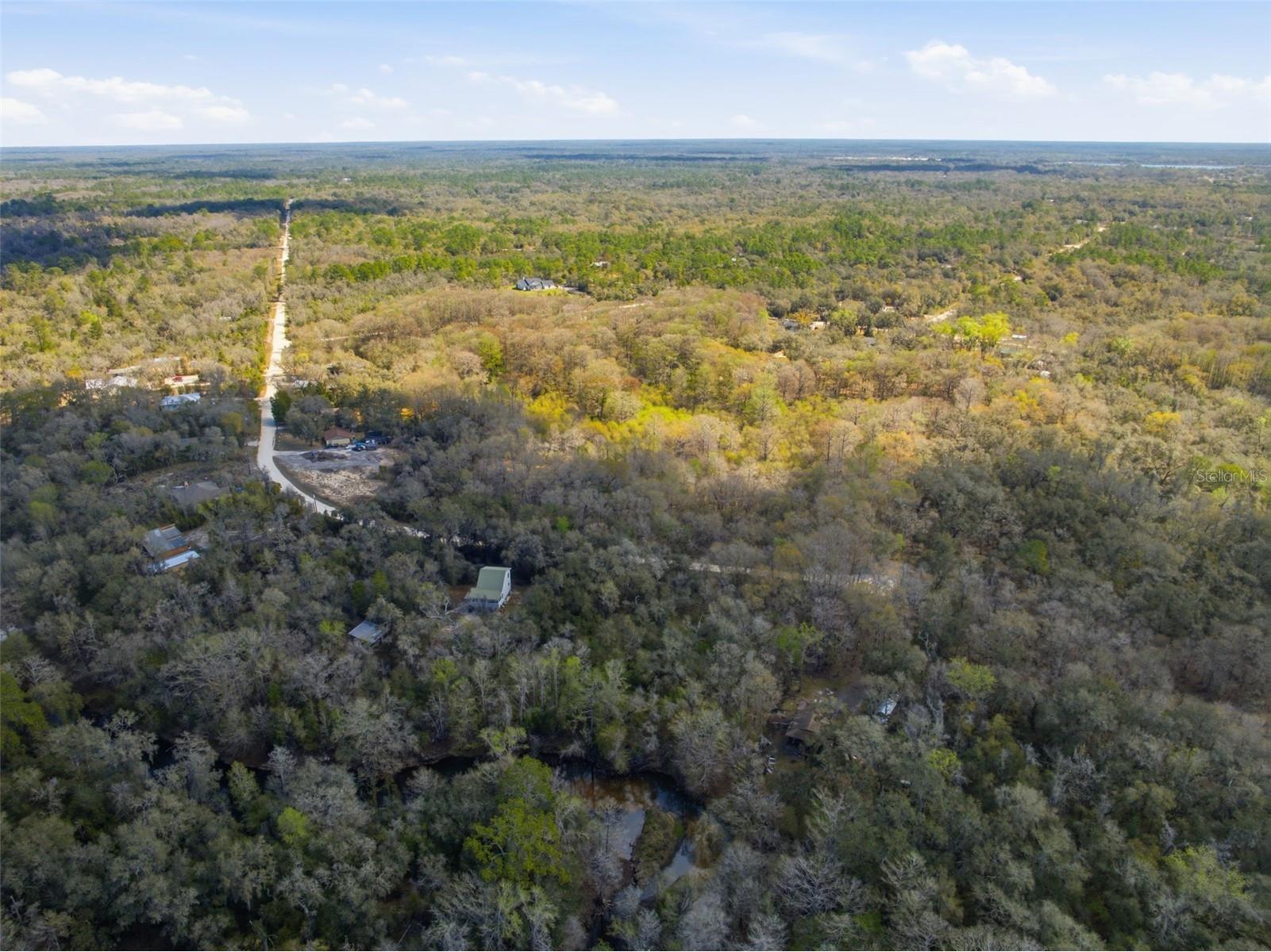  Webster FL 33597 W7883666 image15