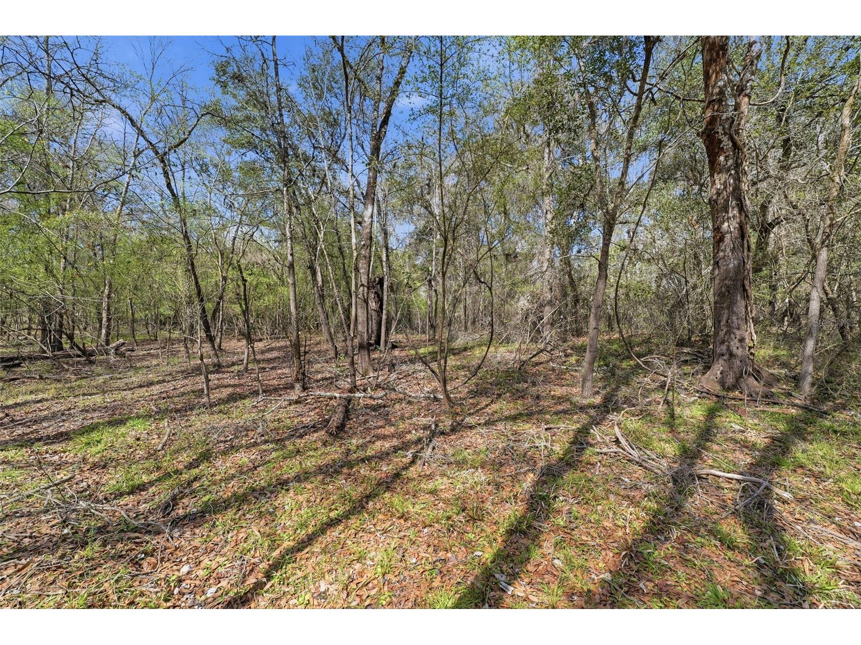  Webster FL 33597 W7883666 image17