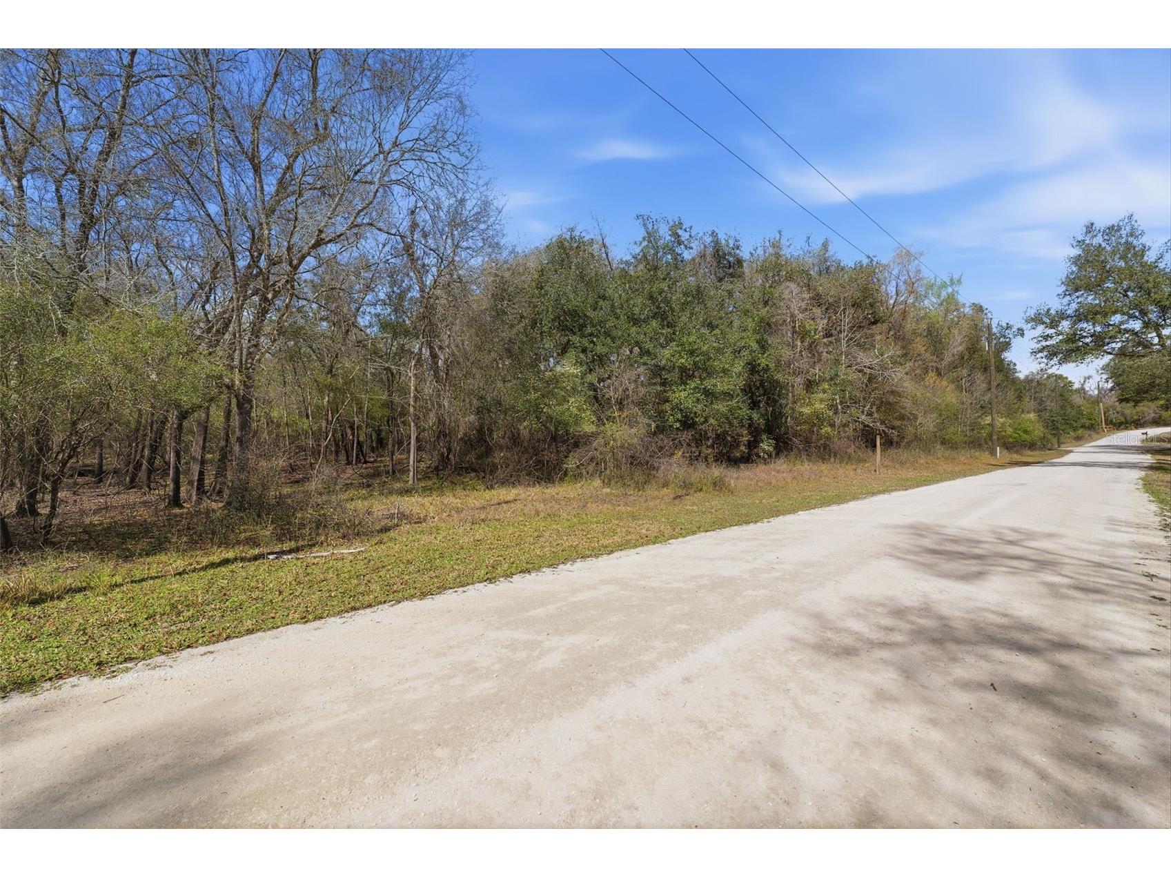  Webster FL 33597 W7883666 image2