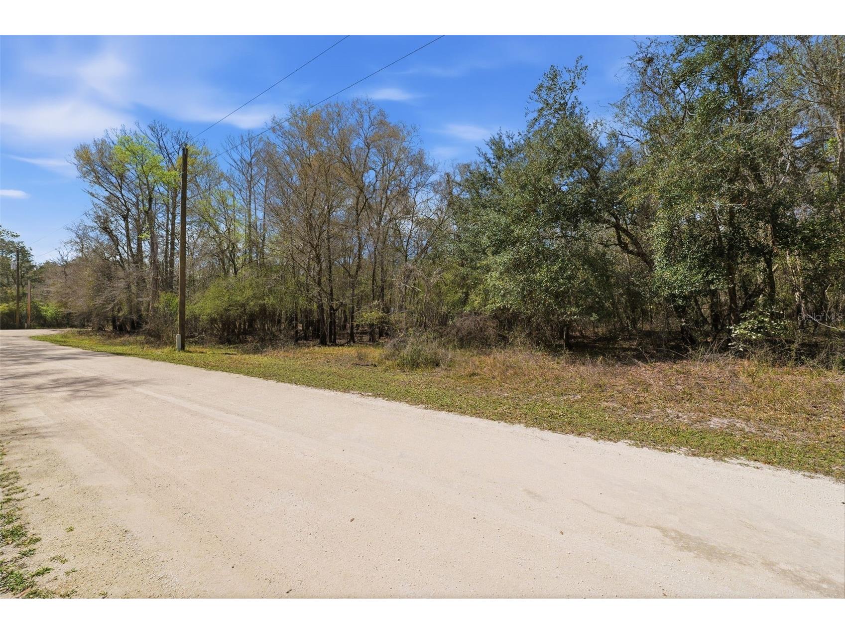  Webster FL 33597 W7883666 image3
