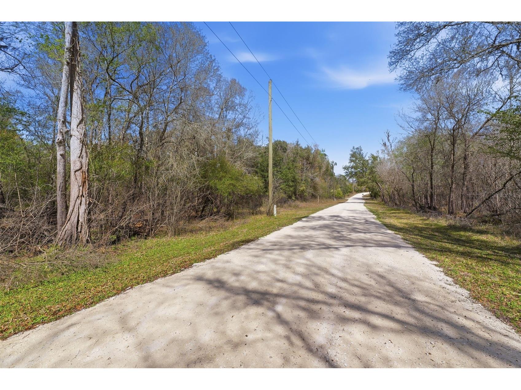  Webster FL 33597 W7883666 image4