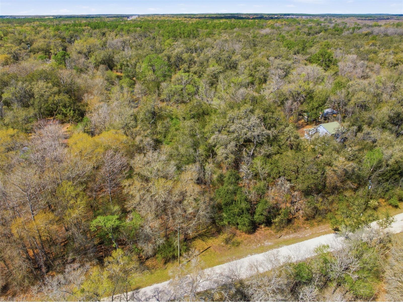  Webster FL 33597 W7883666 image5