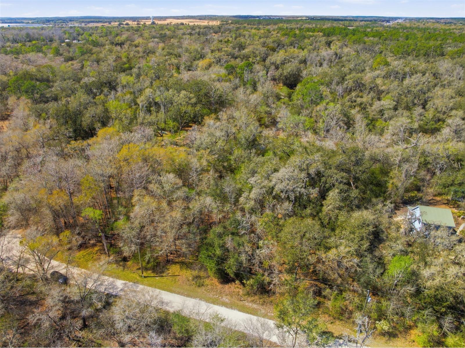  Webster FL 33597 W7883666 image6