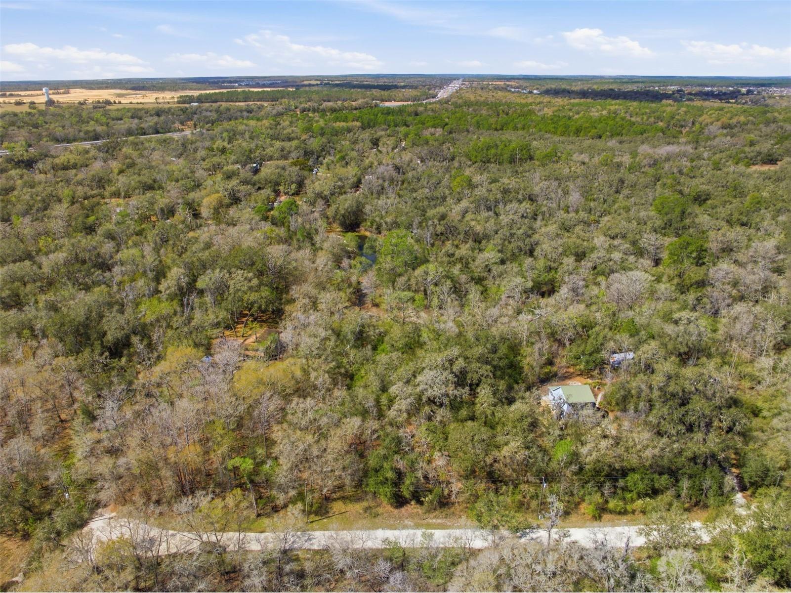  Webster FL 33597 W7883666 image7