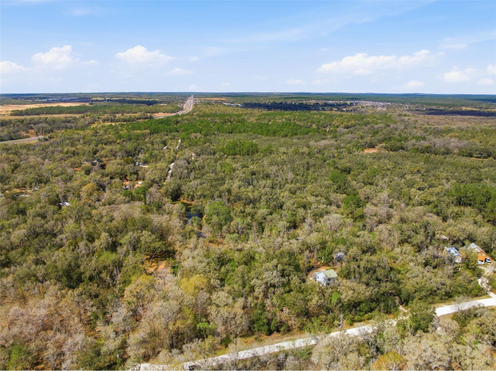  Webster FL 33597 W7883666 image8