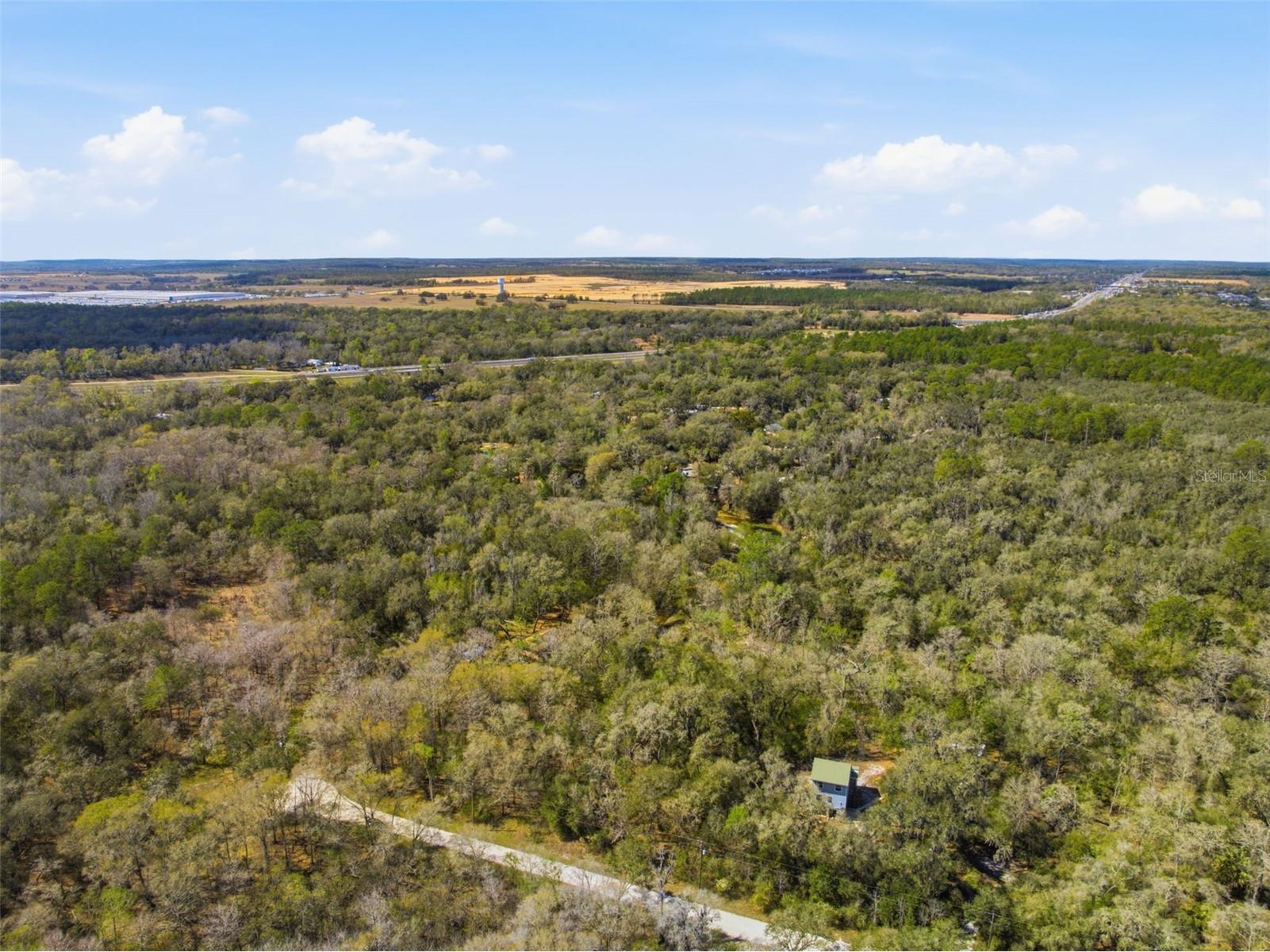  Webster FL 33597 W7883666 image9