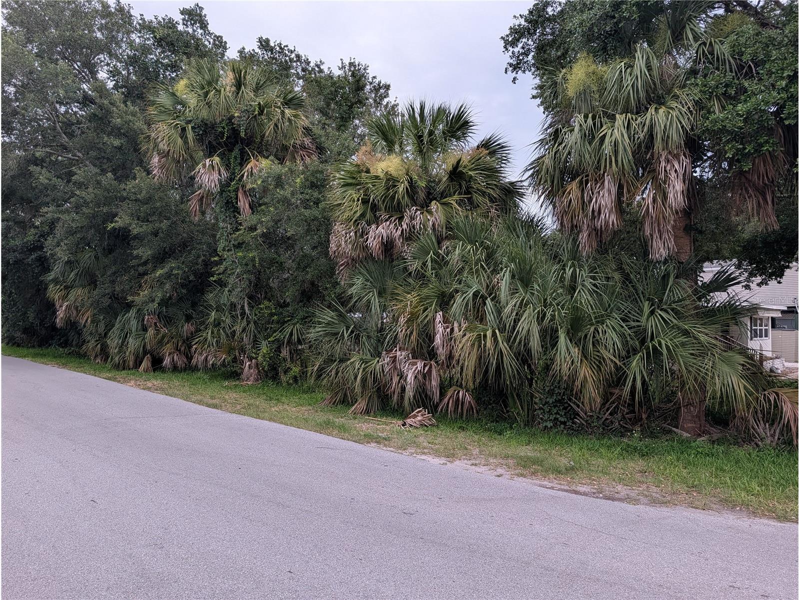  Weeki Wachee FL 34607 TB8517558 image1