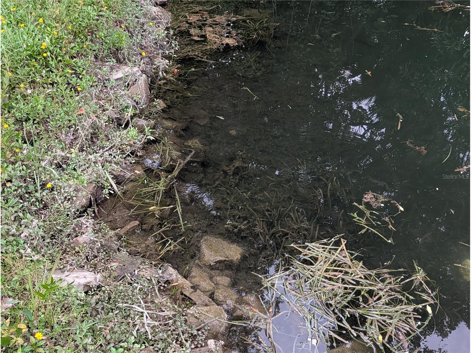  Weeki Wachee FL 34607 TB8517558 image4