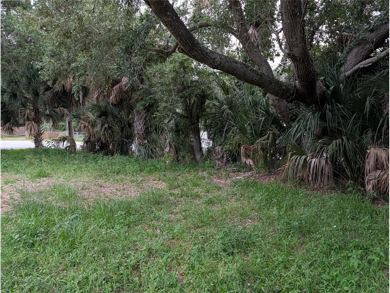  Weeki Wachee FL 34607 TB8517558 image6