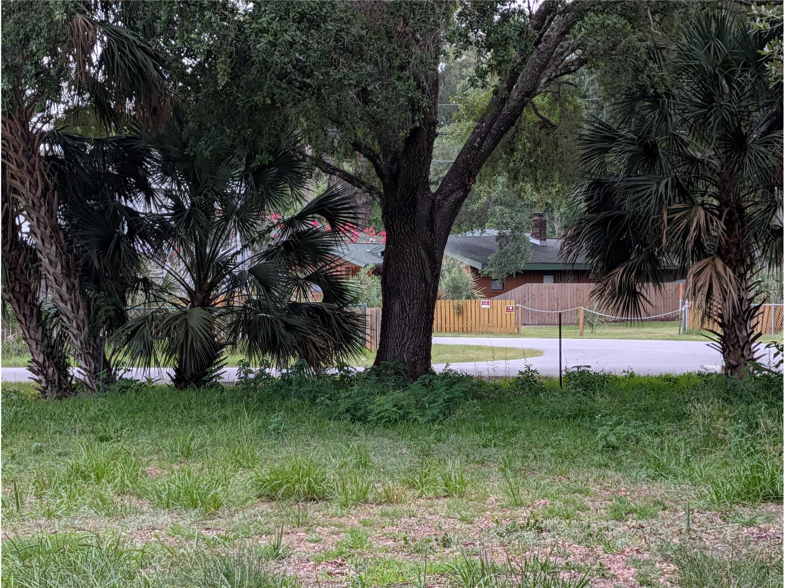  Weeki Wachee FL 34607 TB8517558 image7