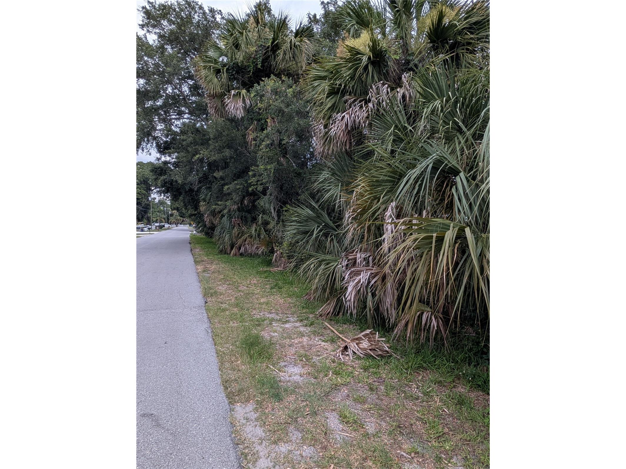  Weeki Wachee FL 34607 TB8517558 image8