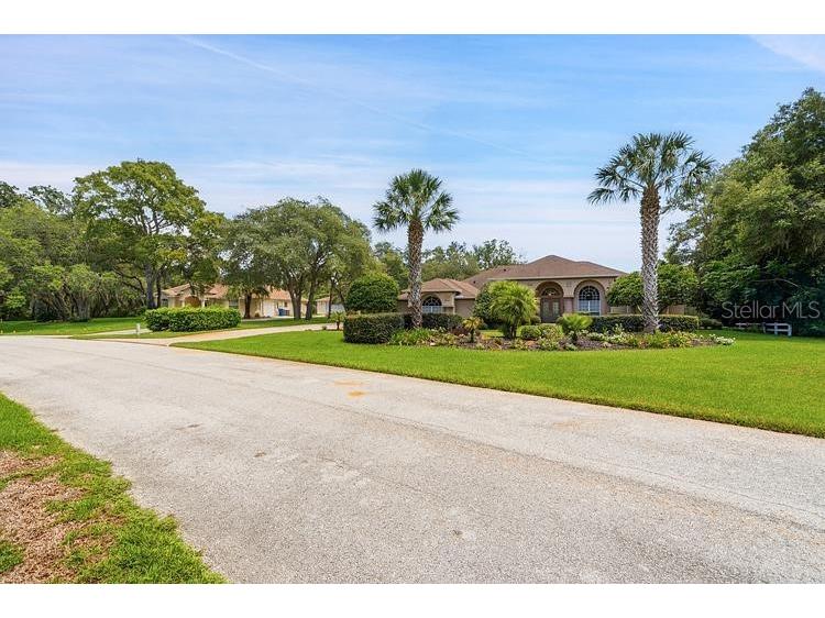 10470 Ramble Ridge Court Weeki Wachee FL 34613 W7887444 image7