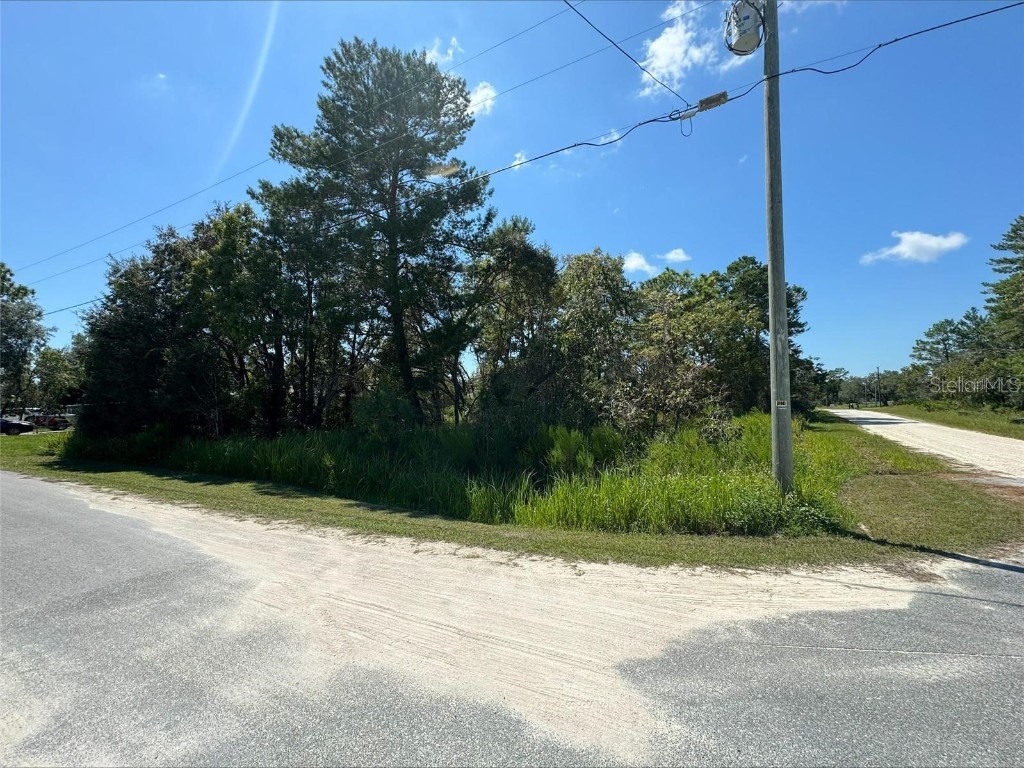  Weeki Wachee FL 34614 TB8383890 image1