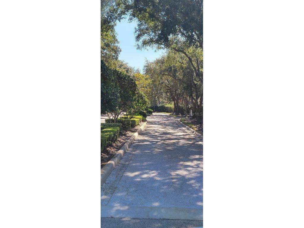  Wesley Chapel FL 33543 TB8448709 image2