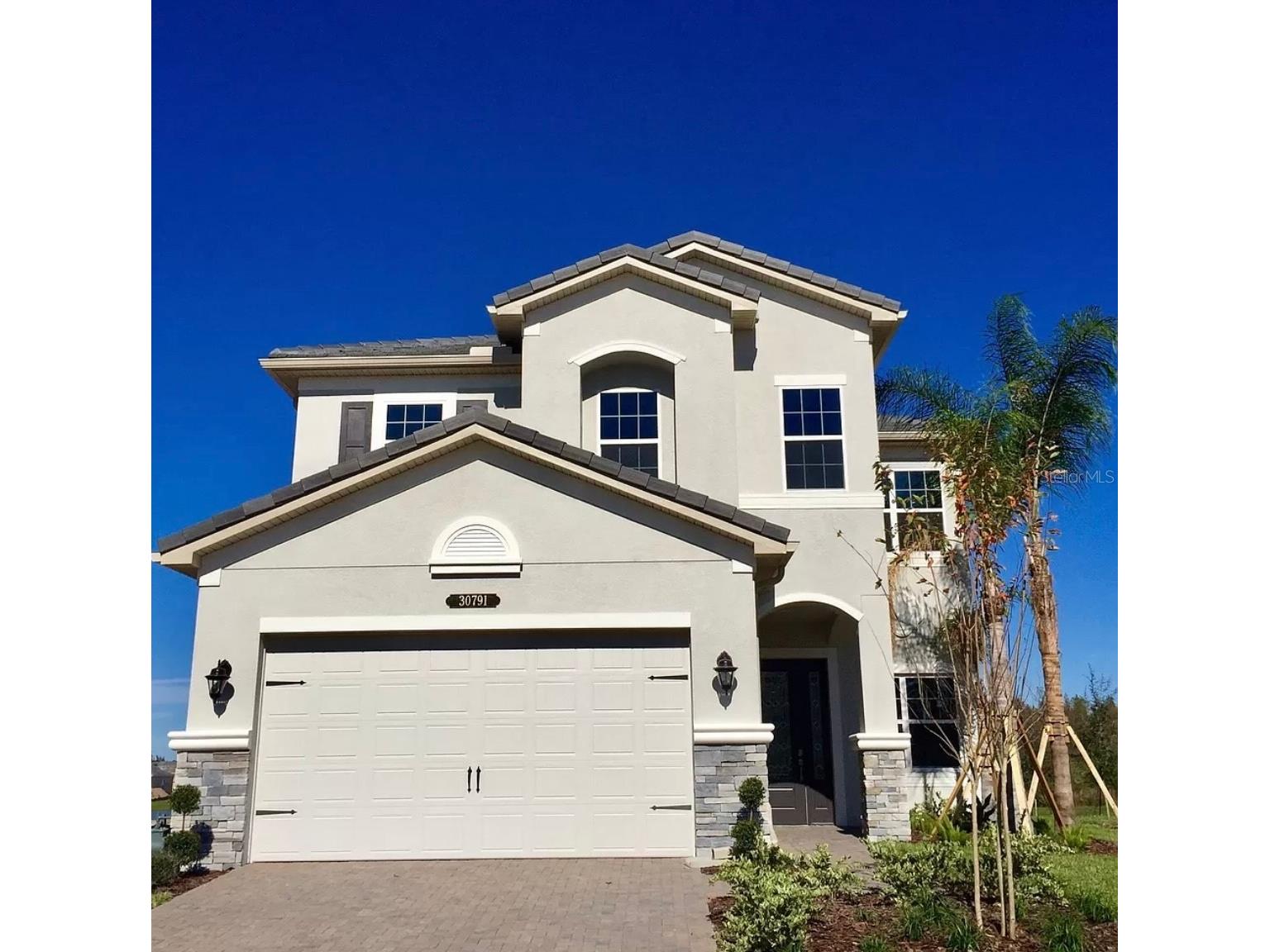 30791 Lindentree Drive Wesley Chapel FL 33543 TB8528443 image1