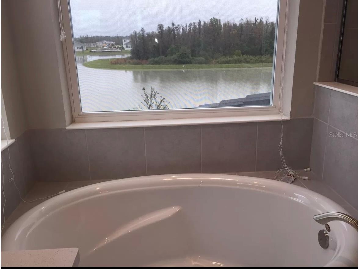 30791 Lindentree Drive Wesley Chapel FL 33543 TB8528443 image10