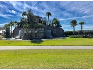 30791 Lindentree Drive Wesley Chapel FL 33543 TB8528443 image12