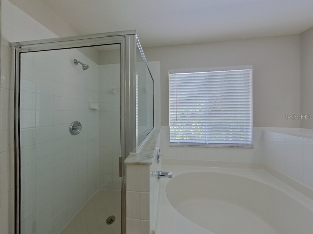  Wesley Chapel FL 33544 TB8450377 image8