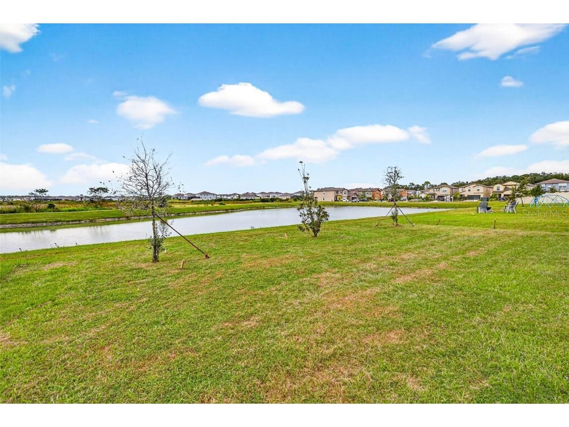  Wesley Chapel FL 33545 O6354304 image33