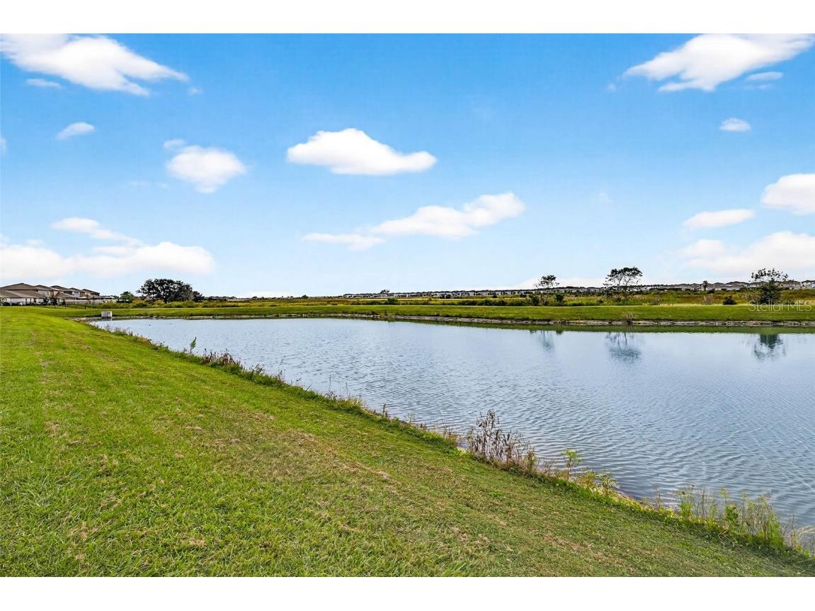  Wesley Chapel FL 33545 O6354304 image36