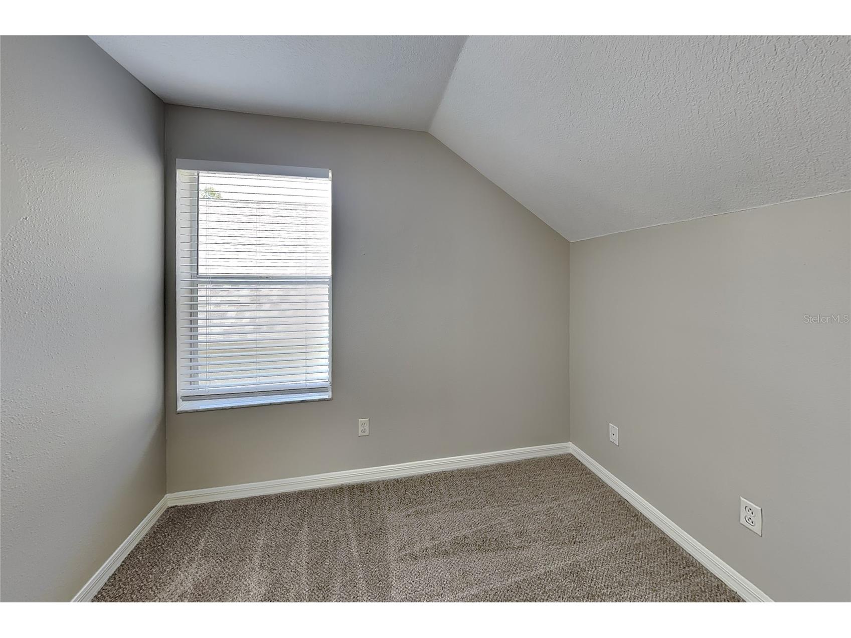  Wesley Chapel FL 33545 O6419488 image10