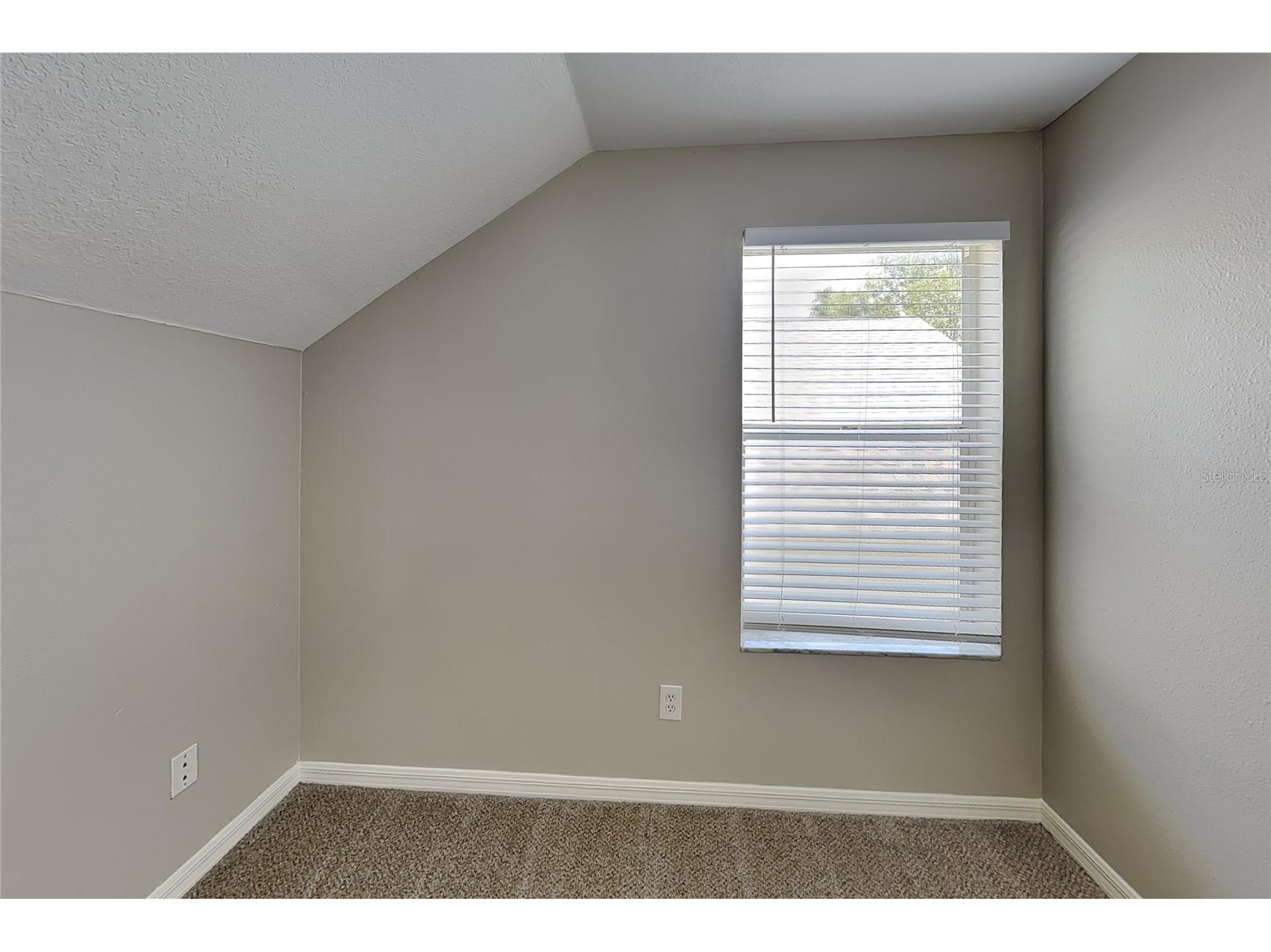  Wesley Chapel FL 33545 O6419488 image11
