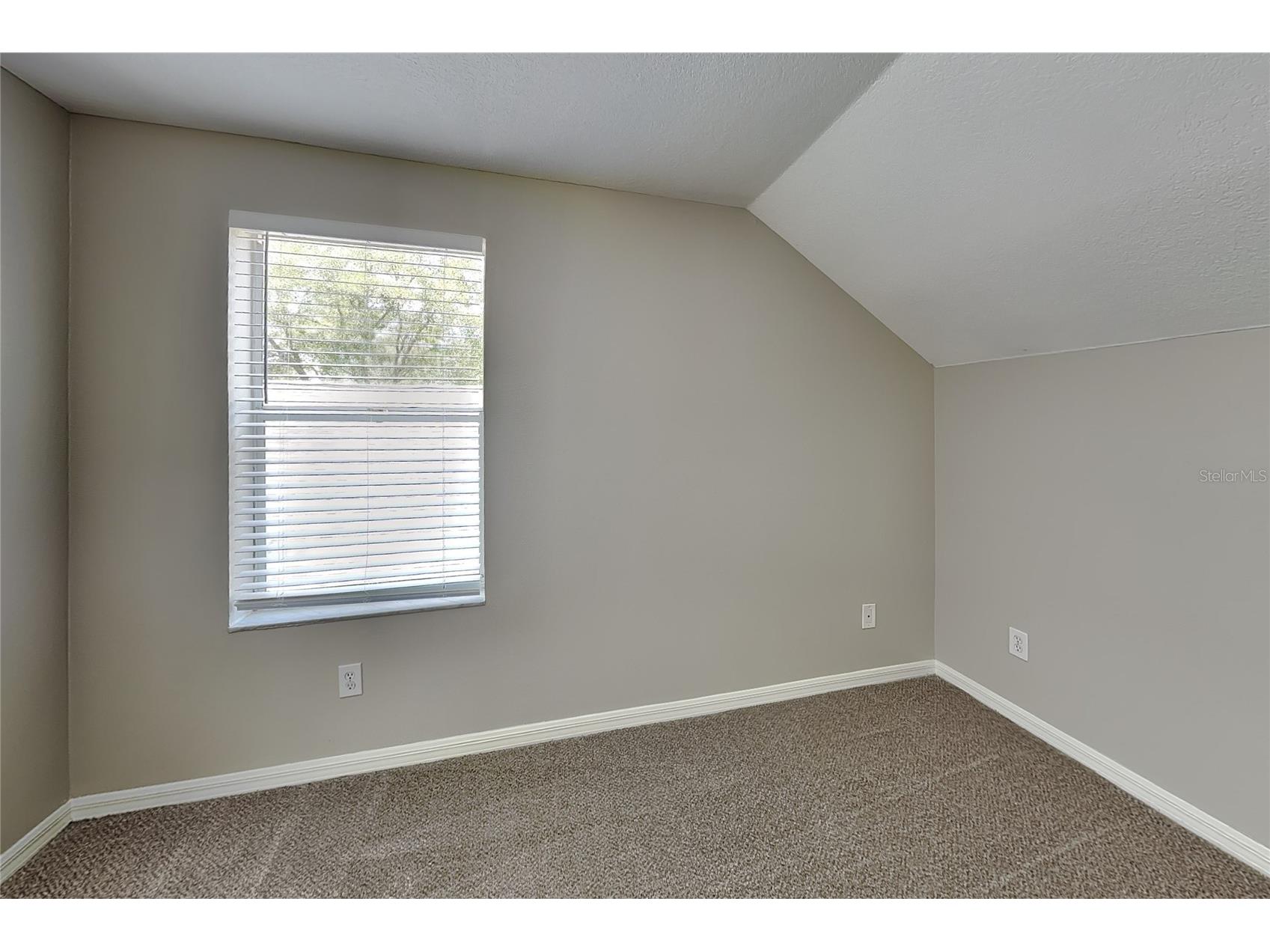  Wesley Chapel FL 33545 O6419488 image8