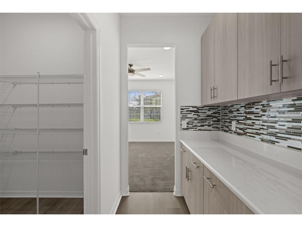 33251 Sycamore Leaf Drive Wesley Chapel FL 33545 TB8452274 image12