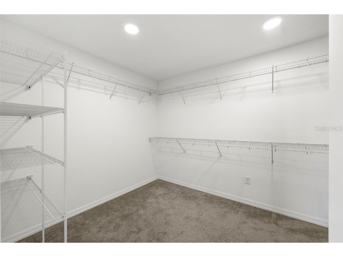 33251 Sycamore Leaf Drive Wesley Chapel FL 33545 TB8452274 image23