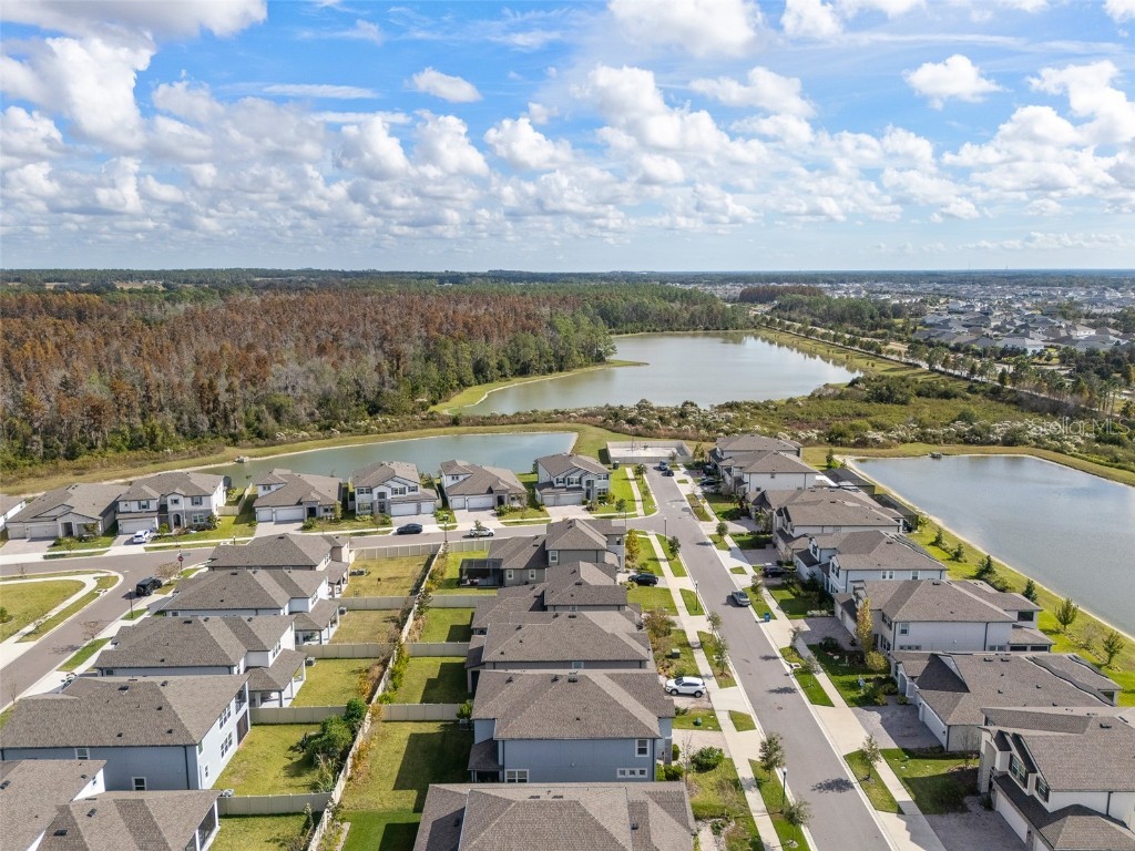 33251 Sycamore Leaf Drive Wesley Chapel FL 33545 TB8452274 image39