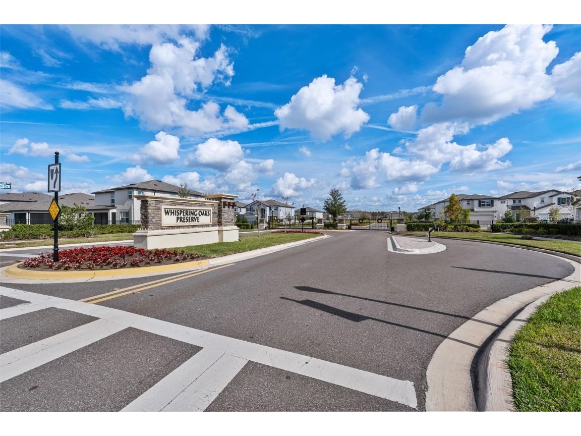 33251 Sycamore Leaf Drive Wesley Chapel FL 33545 TB8452274 image42