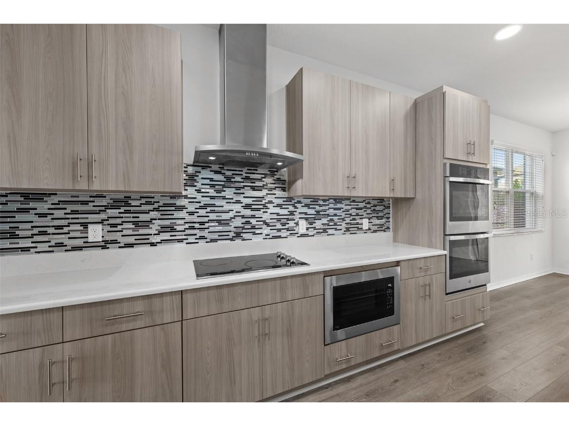 33251 Sycamore Leaf Drive Wesley Chapel FL 33545 TB8452274 image7