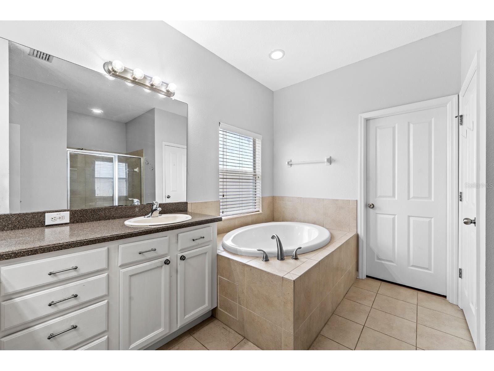 6751 Boulder Run Loop Wesley Chapel FL 33545 TB8516707 image22