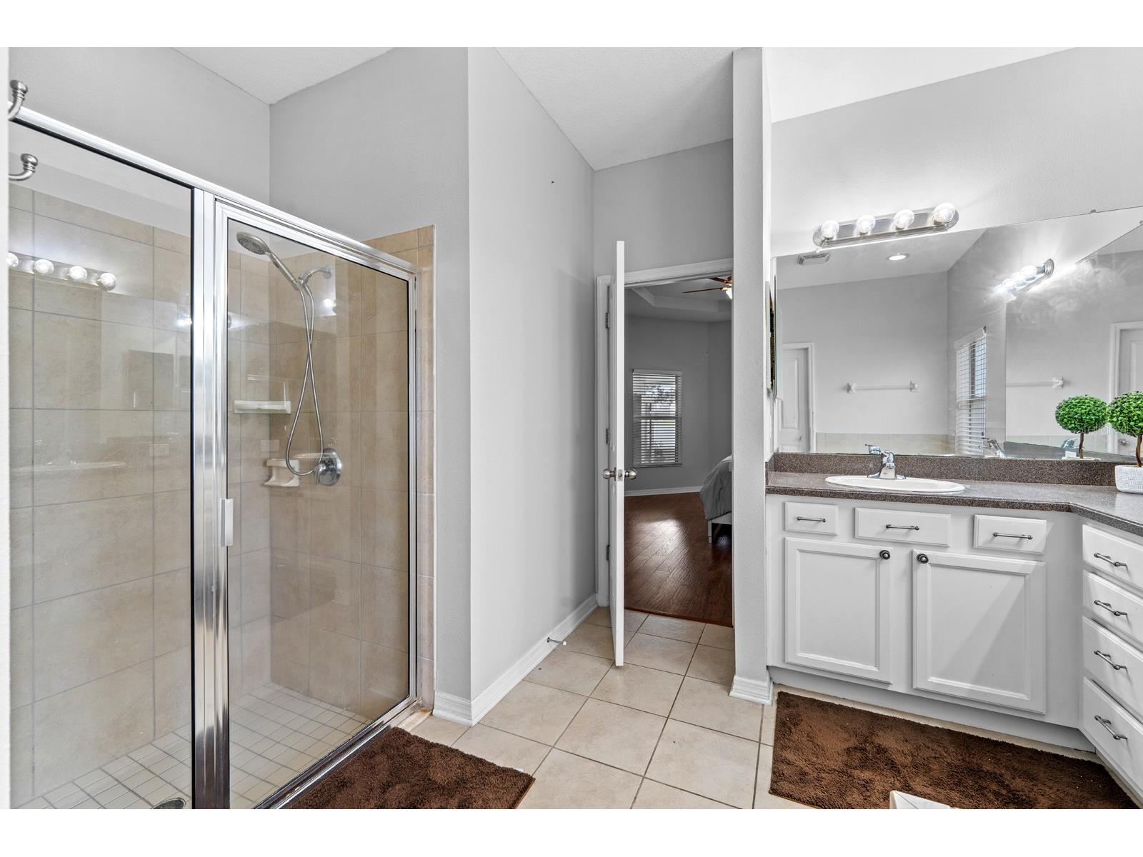 6751 Boulder Run Loop Wesley Chapel FL 33545 TB8516707 image23