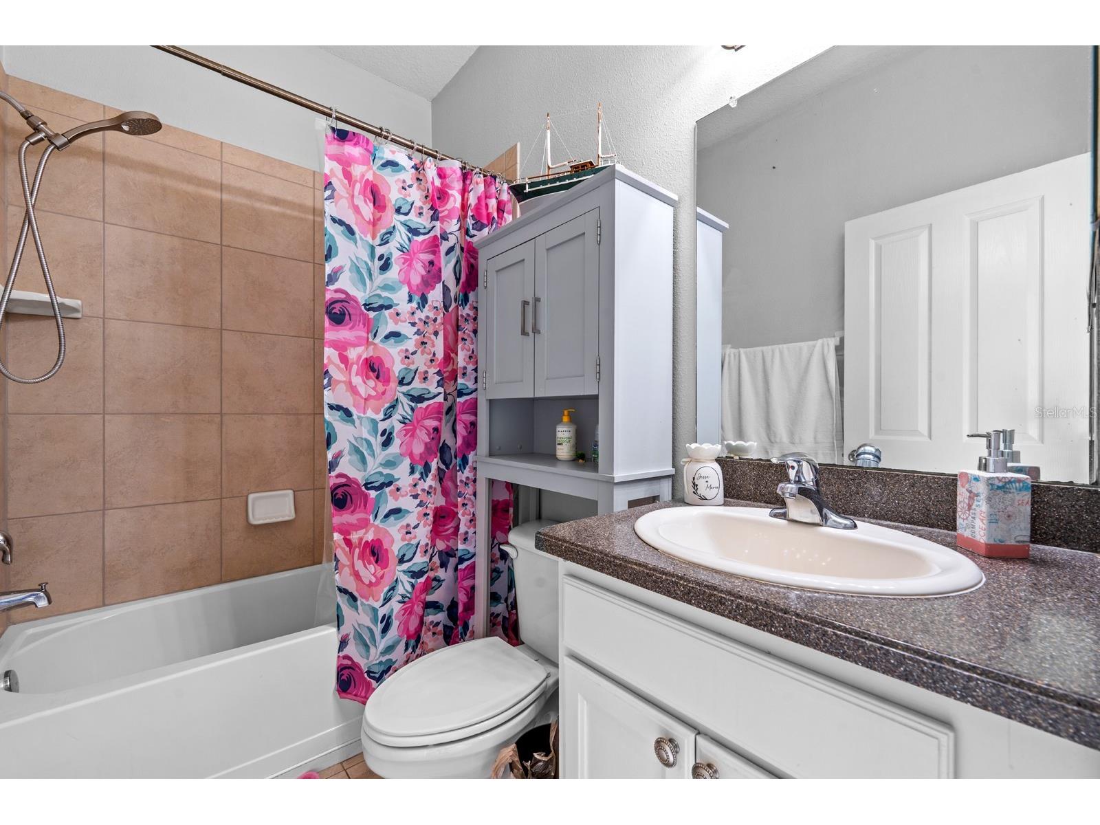 6751 Boulder Run Loop Wesley Chapel FL 33545 TB8516707 image28