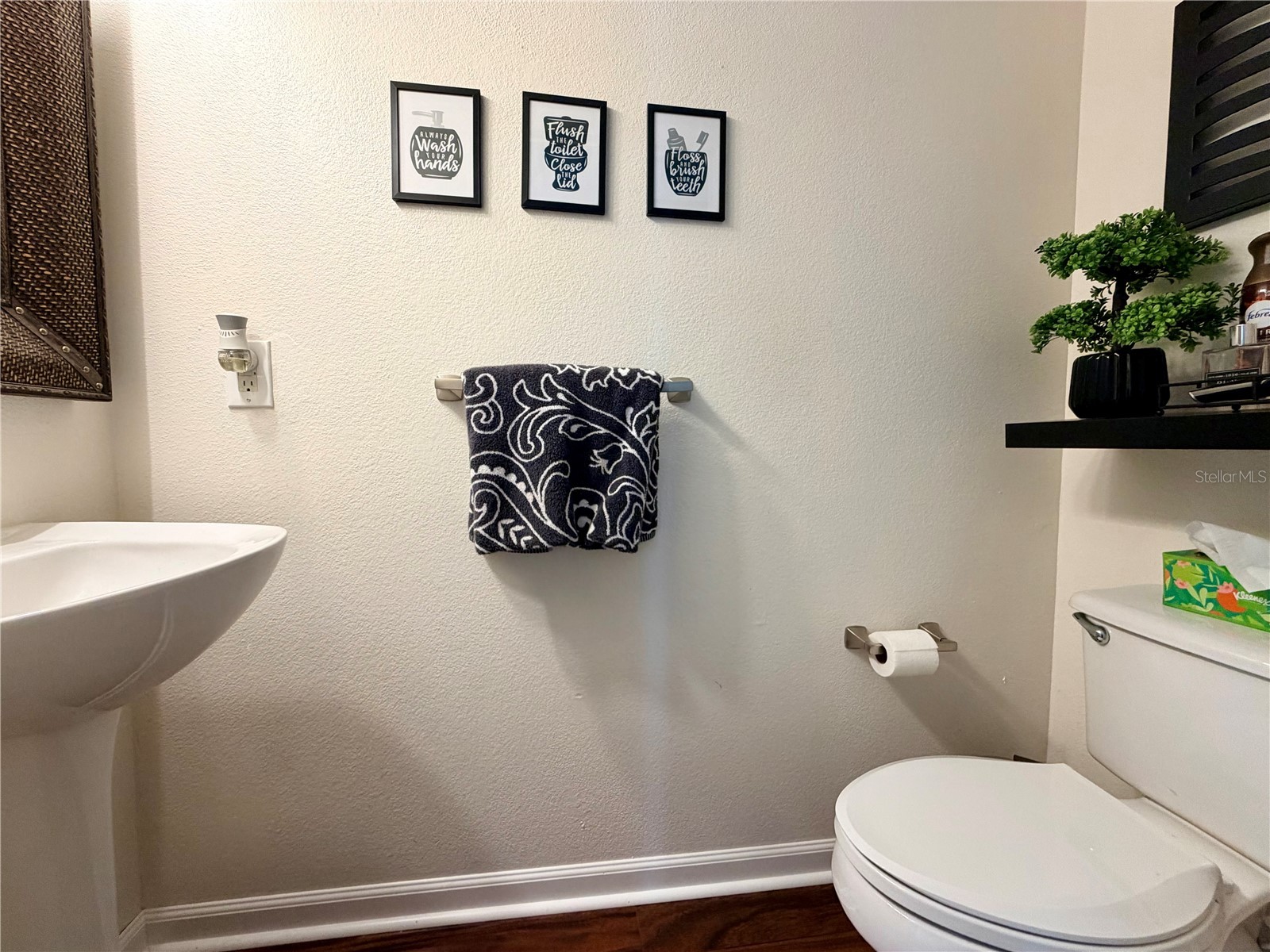30341 Pongo Way Wesley Chapel FL 33545 TB8525510 image18