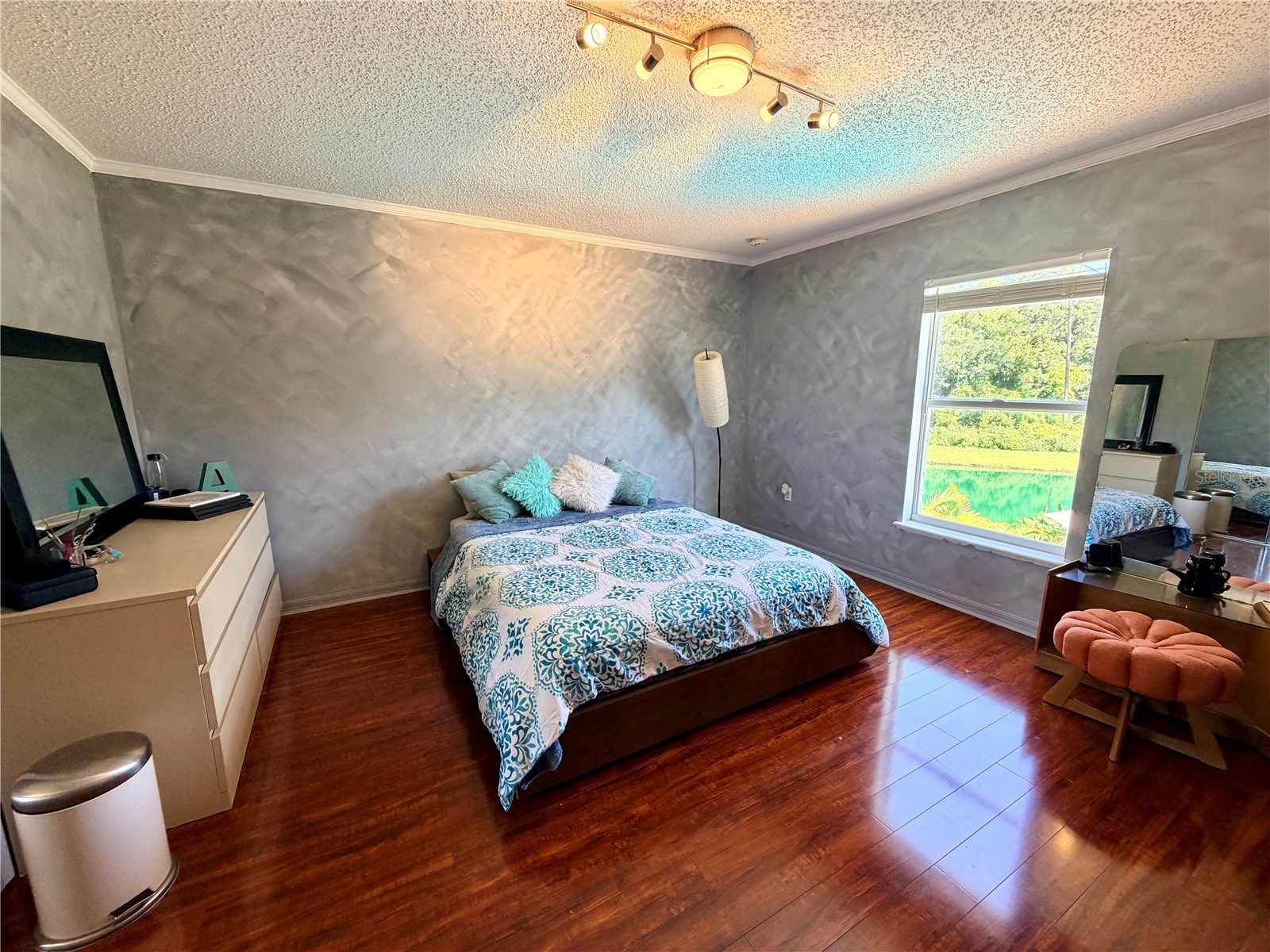 30341 Pongo Way Wesley Chapel FL 33545 TB8525510 image19