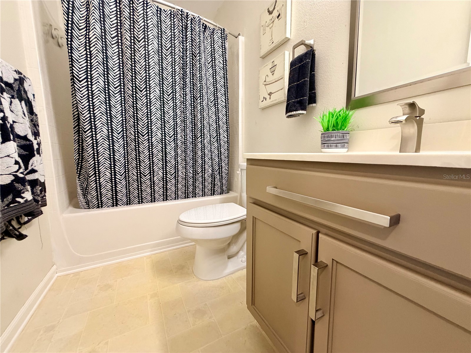 30341 Pongo Way Wesley Chapel FL 33545 TB8525510 image23