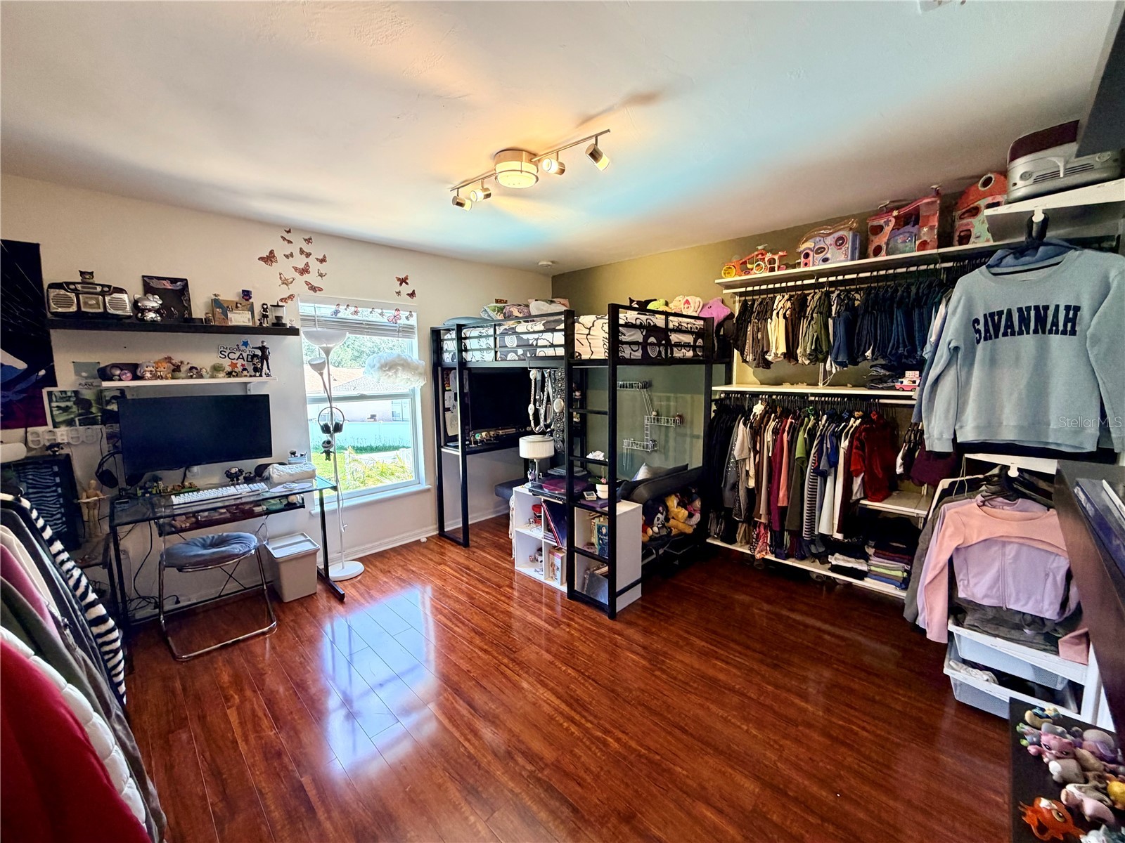 30341 Pongo Way Wesley Chapel FL 33545 TB8525510 image24