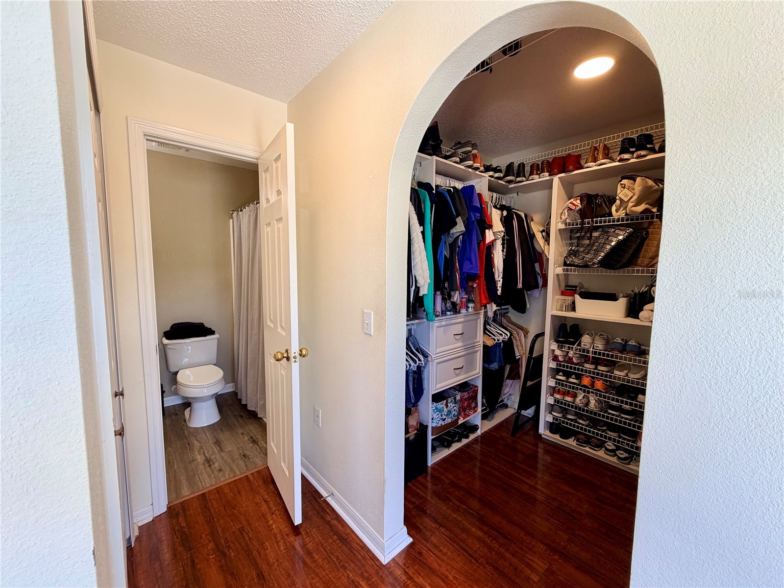 30341 Pongo Way Wesley Chapel FL 33545 TB8525510 image27