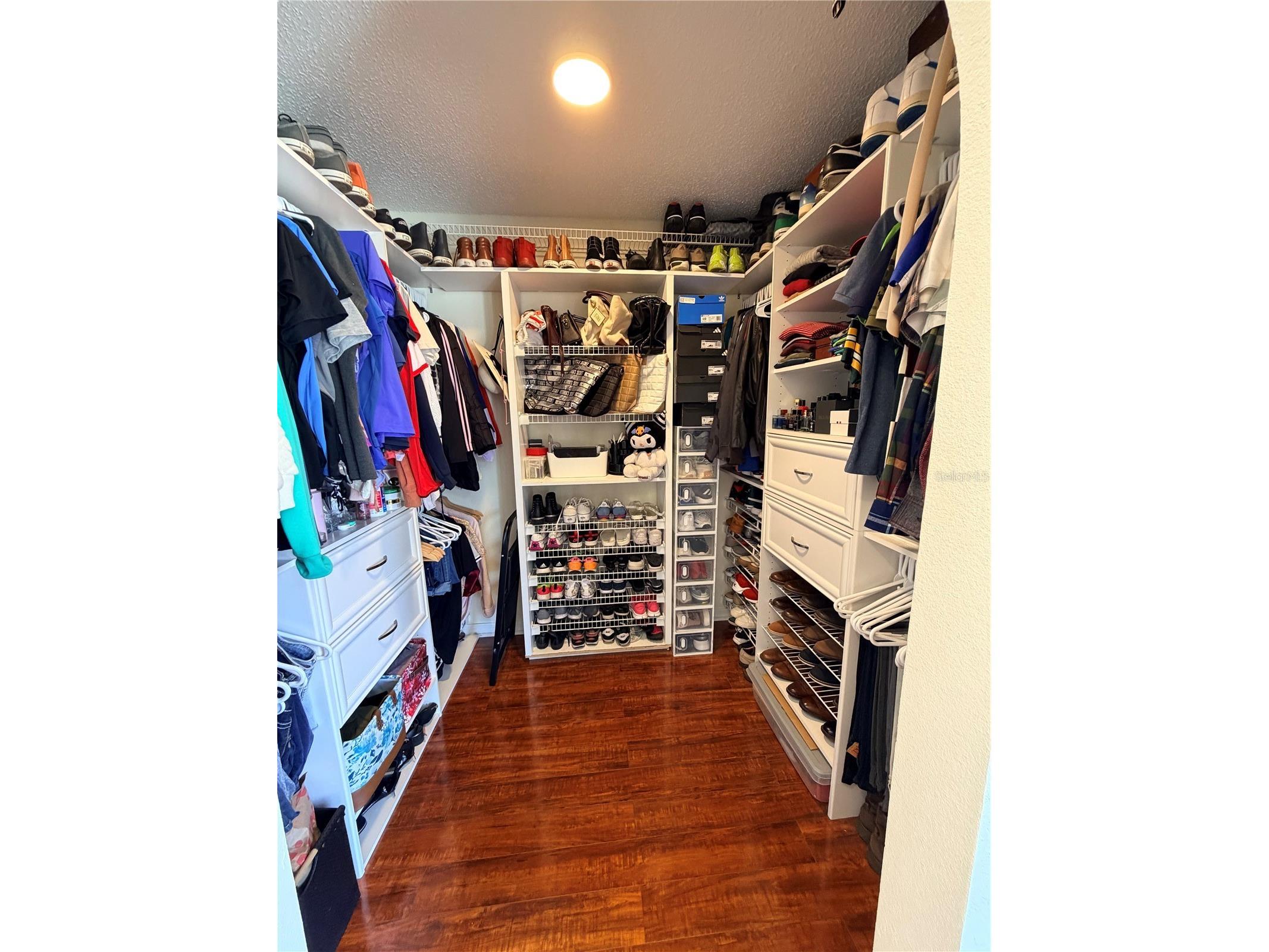 30341 Pongo Way Wesley Chapel FL 33545 TB8525510 image28